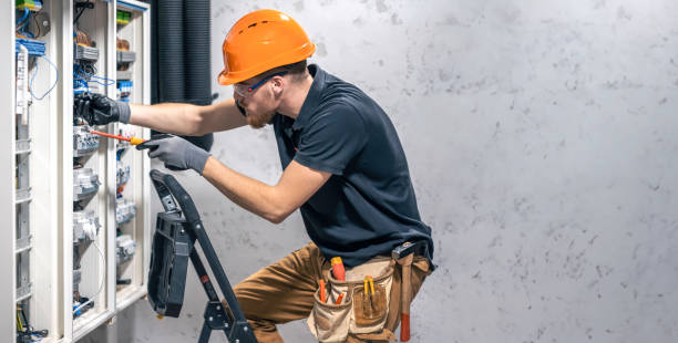 Best Electrical System Inspection  in Minier, IL